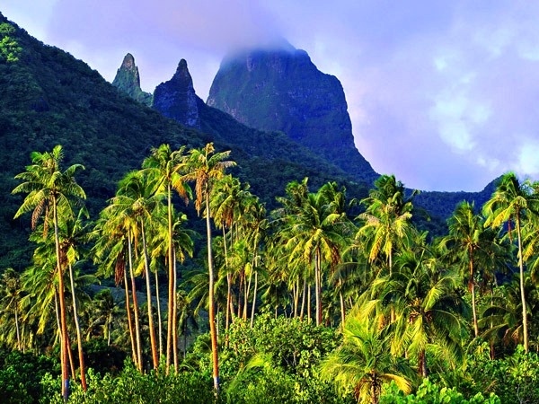 Хавай планират да вдигнат COVID-мерките за туристи