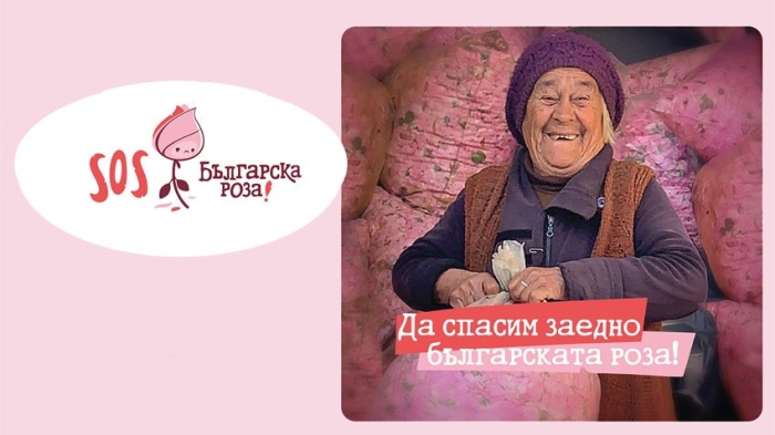 Онлайн риалити ще спасява български производители на маслодайна роза