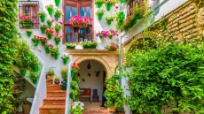 Кордоба в Испания прави фестивал на дворовете с цветя