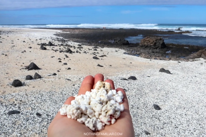 Popcorn Beach, който е покрит с 4000-годишни корали