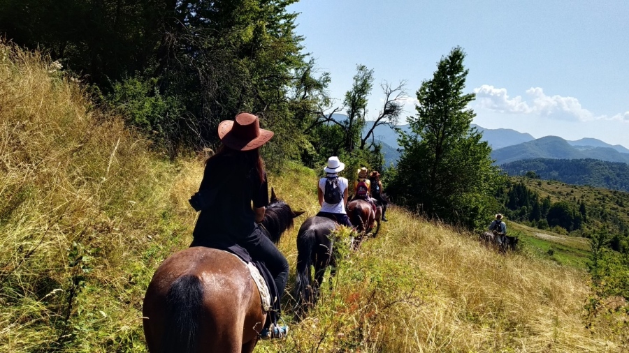 Курсове за водачи в конния туризъм за първи път в България