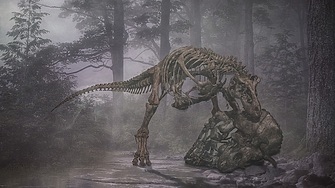 Необичайни  вкаменелости на динозаври откриха в Индия