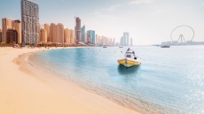 Дубай с нов рекорд - продаден е пясък за 34 млн. долара