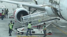 26 милиона куфара загубени от авиокомпаниите през 2022 г.