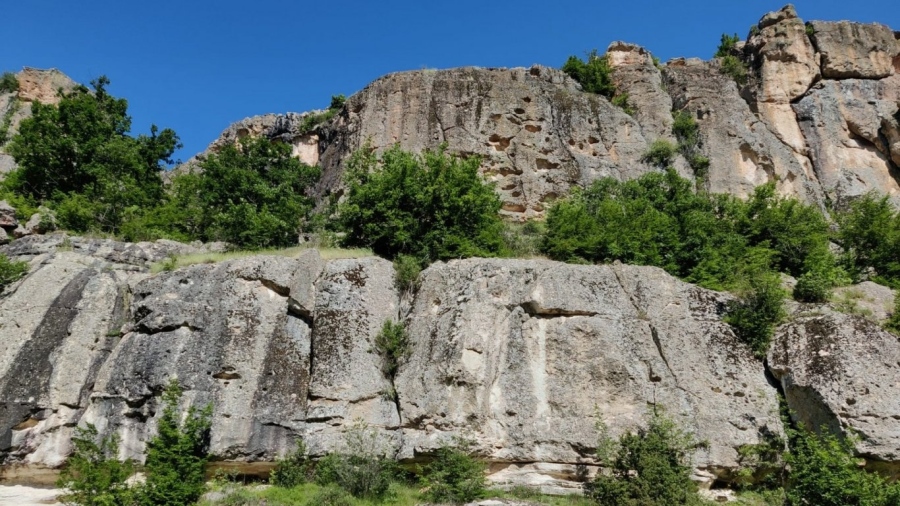 Вкаменената гора край Момчилград става достъпна за туристи