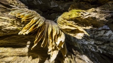 Ягодинската пещера вече има интернет, ефектно осветление и озвучаване 