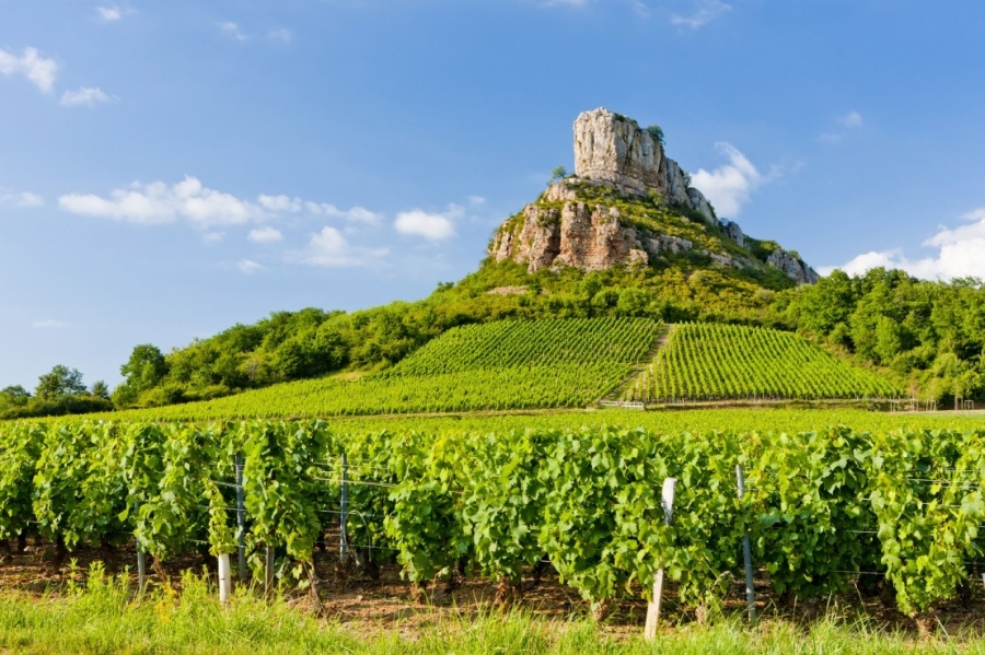 Бургундия и Елзас - Вино и замъци