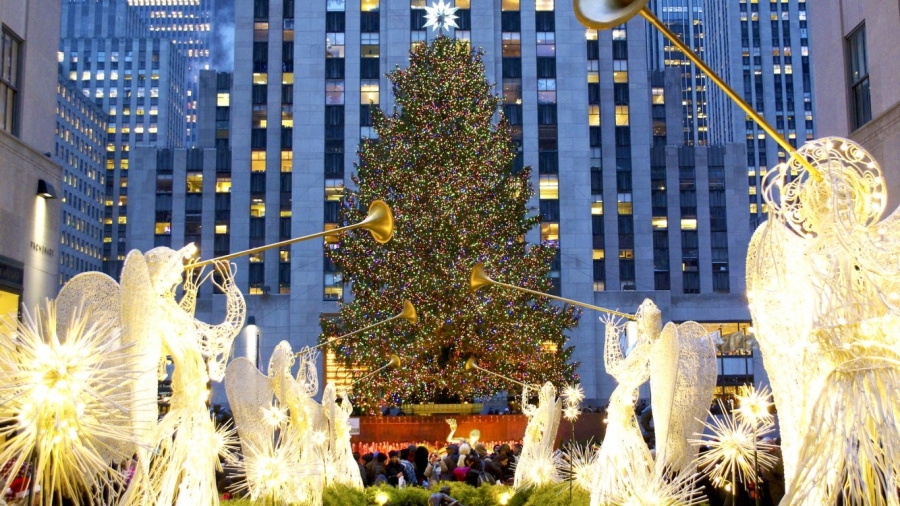Смърч с височина 24 метра ще бъде коледното дърво пред центъра Рокфелер в Ню Йорк