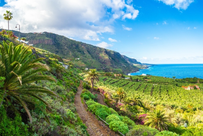 Профи турс прави чартъри за Канарските острови за лято 2024